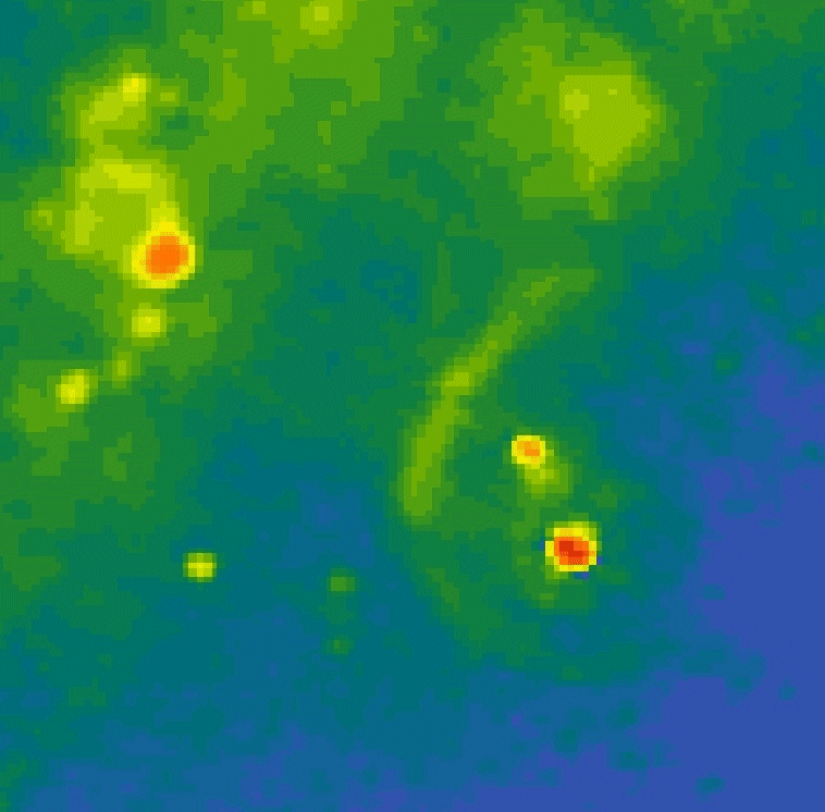 Orion at 1420 MHz